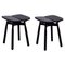 Black Stained Oak Dom Stools by Marcos Zanuso Jr, Set of 2, Image 1