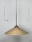 Telescopic Brass and Pencil Reed Rattan Bamboo Hanging Pendant Lamp, Italy, 1970s 13