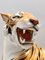 Large Vintage Hand Painted Ceramic Roaring Tiger, Italy, 1950s 9