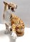 Large Vintage Hand Painted Ceramic Roaring Tiger, Italy, 1950s 4