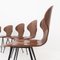 Curved Wooden Chairs Model Lulli by Carlo Ratti for Industria Legni Curvati, Italy, 1950s, Set of 6 3