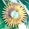 Spanish Sun Wandlampe aus Metall 9