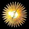 Lampada da parete Sun in metallo, Spagna, Immagine 12