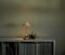 Lampada da tavolo in marmo di Bettisatti, Immagine 4