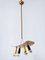 Mid-Century Modern Sputnik Pendant Lamp, Germany, 1950s 12