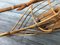 Expositor de velero italiano de bambú, años 70, Imagen 10