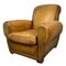 Half-Century French Club Armchair 6