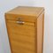 Vintage Archive Cabinet, 1950s 5