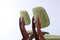 Teak Scissor Dining Chairs attributed to Louis van Teeffelen for Webe, 1950s, Set of 2, Image 12