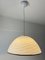 Vintage Glass Hanging Light, Italy, 1970s 3