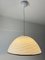 Vintage Glass Hanging Light, Italy, 1970s, Image 3