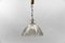 Mid-Century Modern Smoked Glass Pendant Lamp from Limburg, 1960s 2