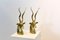 Brass Kudu Antelope Sculptures attributed to Karl Springer, 1970s, Set of 2 8