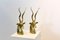 Sculptures d'Antilope Kudu en Laiton attribuées à Karl Springer, 1970s, Set de 2 8