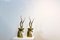 Brass Kudu Antelope Sculptures attributed to Karl Springer, 1970s, Set of 2 9