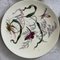 Butterfly Plates by James Green & Nephew, Set of 12 5