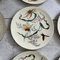 Butterfly Plates by James Green & Nephew, Set of 12 4