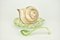 Italian Ceramic Snail on Cabbage Saucière, 1970s, Set of 2, Image 2