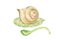 Italian Ceramic Snail on Cabbage Saucière, 1970s, Set of 2, Image 1