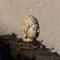 Buddhakopf aus Marmor 4