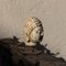 Head of Buddha in Marble 4