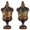 Vases Couverts en Bronze Cassé avec Riche Décoration, 1870s, Set de 2 1