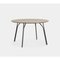 Tree Medium Dining Table by Elisabeth Hertzfeld 2