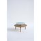 Secreto 60 Coffee Table by Cole Italia 3