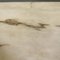 Mid-Century Italian Modern Coffee Table with Marble Top, 1950s, Image 10