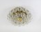 Ice Glass Ceiling Lamp from Doria Leuchten, 1970s, Image 13