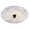 Venus Ceiling Light by Radar 1