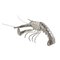 Decorative Figurine Silver Lobster 4