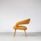 Du55 Chair by Gastone Rinaldi for Rima, Italy, 1950s, Image 3