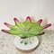 Sunburst Shaped Murano Centerpiece in Lime Green & Fushsia from Sommerso, 1960s 4