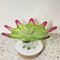 Sunburst Shaped Murano Centerpiece in Lime Green & Fushsia from Sommerso, 1960s, Image 4