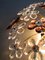 Lampade da soffitto con fiori di Christoph Palme, set di 2, Immagine 7