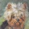 Small Yorkshire Terrier, 1879, Oil on Canvas, Framed 3