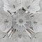 Sputnik Murano Glass Flowers Chandelier by Paolo Venini for Veart, 1960s 6