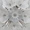 Sputnik Murano Glass Flowers Chandelier by Paolo Venini for Veart, 1960s, Image 6