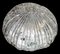 Organic Bubble Glass Ceiling Lamp, 1960s, Image 1