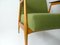 Grüner Vintage Sessel aus Buche, 1960er 4