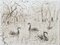Helène Neveur, Cisnes en el lago, Dibujo original firmado a mano en tinta china, Mediados del siglo XX, Imagen 2