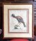 Saverio Manetti, Gallo Pavone del Brasile, 20th Century, Print, Framed 1