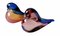 Pájaros grandes de cristal de Murano Sommerso sombreado de Archimede Seguso. Juego de 2, Imagen 1