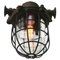 Lámpara colgante industrial vintage de hierro y vidrio claro, Imagen 3
