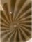 Aplique de pared Cañas marrones sobre cristal de Murano blanco de Simoeng, Imagen 4