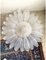 Venetian White Murano Glass Sunflower Flush Mount 2