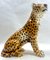 Glasierte handbemalte Leopardenskulptur aus Keramik, 1950er 8