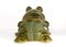 Large Italian Ceramic Frog, 1960s 6