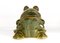 Large Italian Ceramic Frog, 1960s, Image 6